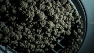 A close-up view of an HVAC system vent revealing extensive mold growth. The mold appears slimy and discolored, spanning across the metal grating and surrounding surfaces. Uneven lighting casts dramatic shadows, highlighting the textural details of the fuzzy, speckled fungal colonies. The scene conveys a sense of neglect and poor air quality, emphasizing the need for thorough HVAC maintenance and mold remediation.