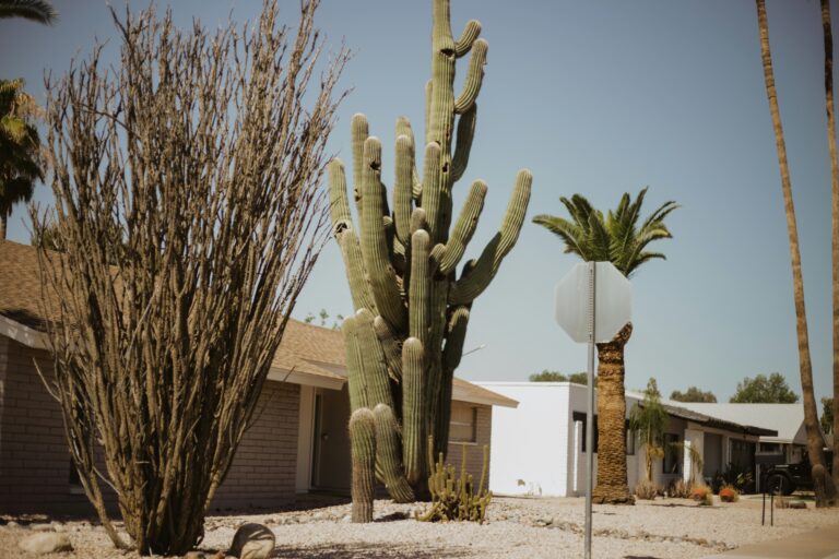 How to Lower Your AC Bills This Summer in Chandler